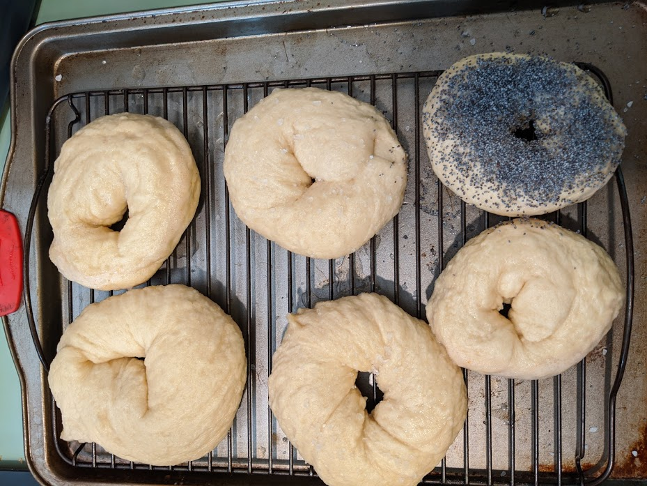 Bagels on cooling rack after boiling