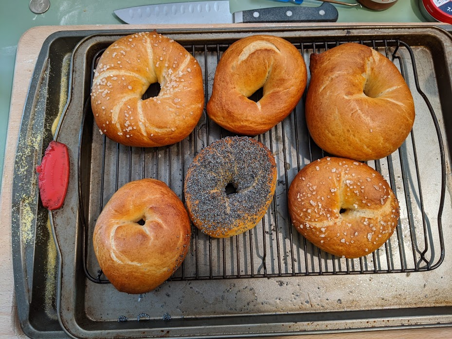 home made bagels fresh out of the oven